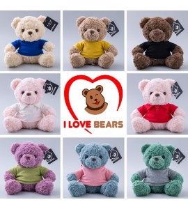 Colourful teddy bears