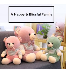Plushy Teddy Bear Family