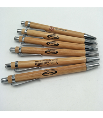 eco friednly pen